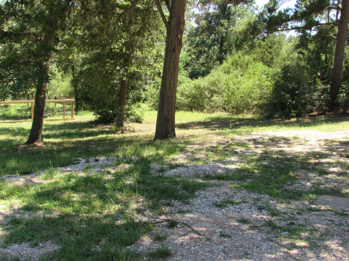 A grass field with gravel and trees